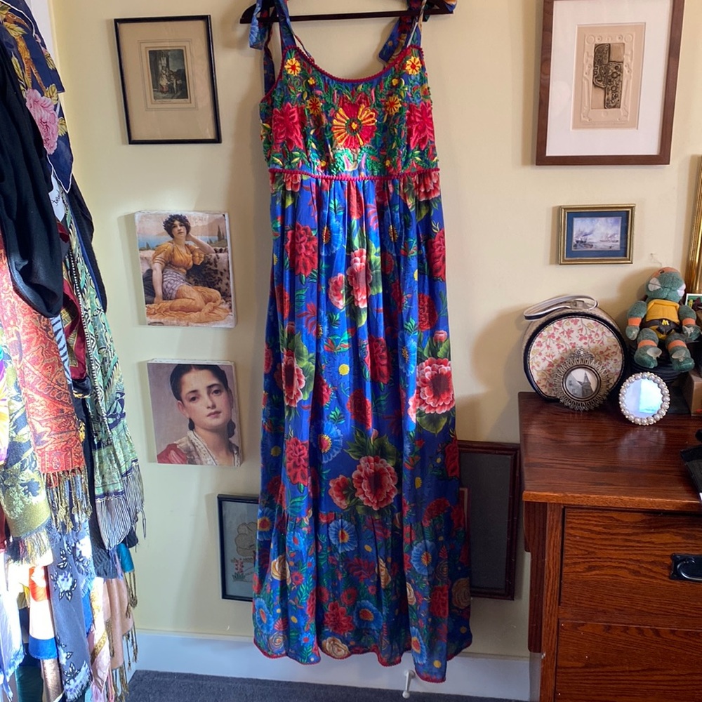 Payal Jain Floral Cirque Maxi Dress